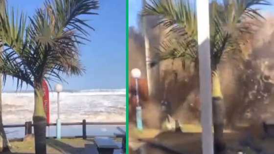 TikTok video shows moment large wave crashed into restaurant at Marina Bay in KZN, 5 people injured