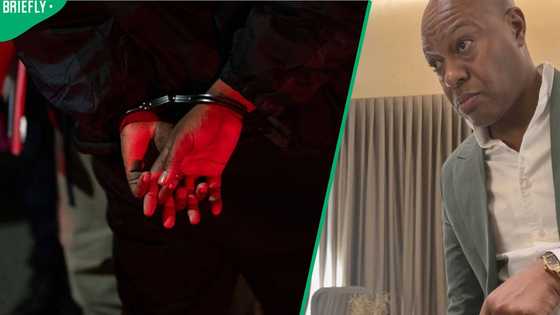 Businessman Lawrence Mudzinganyama arrested and released after Sandton restaurant threats