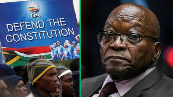 DA calls Jacob Zuma the latest fugitive from justice, seeks clarity on arrest while he is in Russia