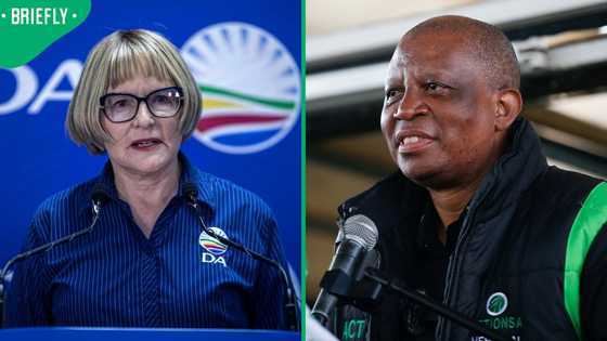 Mashaba dismisses Helen Zille as a threat in Joburg mayoral race, sparks mixed reactions online