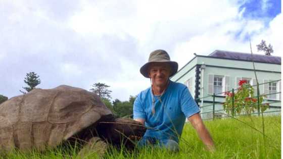 Jonathan:190-year-old tortoise becomes the world’s oldest living land animal