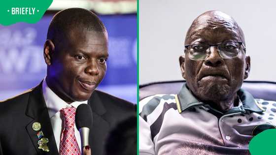 Minister Ronald Lamola accuses Jacob Zuma of trafficking South African men to Donbas