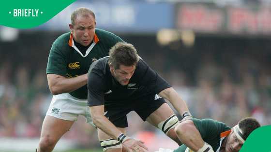 World Cup-winning Springbok Gary Botha takes charge as Harlequins head coach