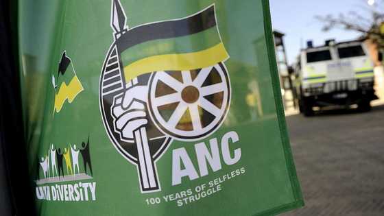ANC leaders believe traitors from within the party behind Mkhize's death