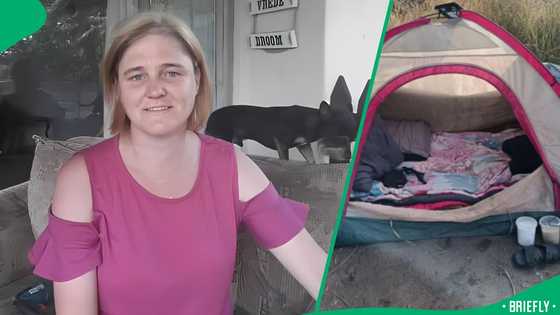 "They are human too": Mpumalanga woman begs for shelter as she shows life inside tiny tent, SA moved