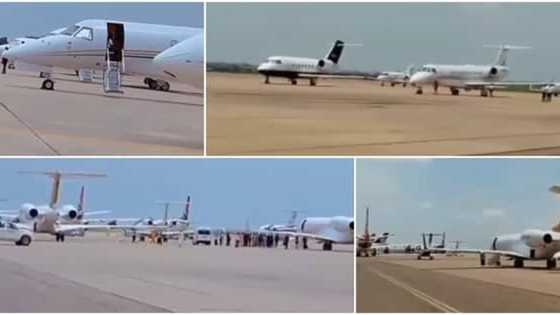 Buhari’s son's wedding: People react as over 25 private jets take over Kano Airport