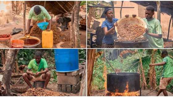 Young student in his 20s inspires many with his hustle as a palm oil producer