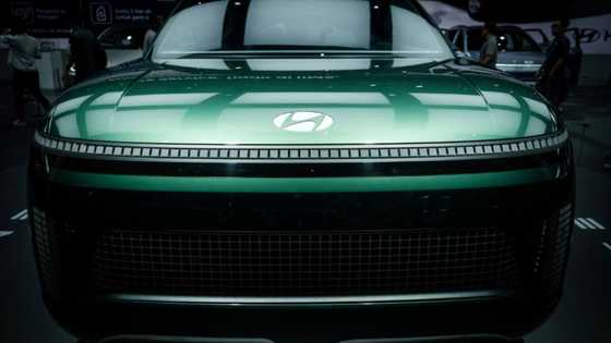 Hyundai to invest more than $50 bn in South Korea in major EV push