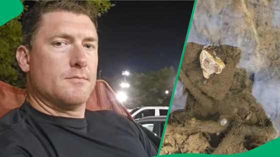 Snake underwater prepares to bite man in TikTok video