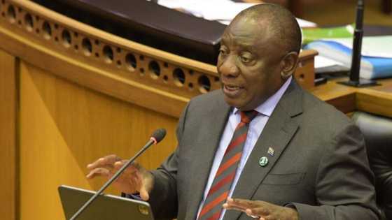 Ramaphosa responds to N3 truck driver protest, guilty parties to remain in police custody