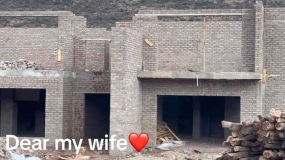 South African woman shares TikTok video of massive home under construction, impressed netizens left in awe