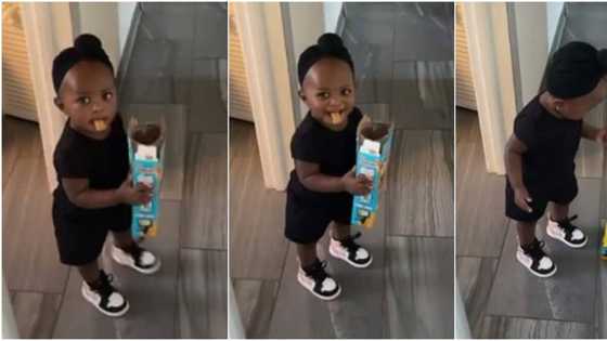 Dad catches adorable daughter "stealing" food, cute viral videos warm hearts