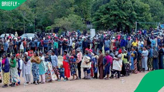 ‘The situation is dire’: 4,200 Malawians await repatriation from Durban
