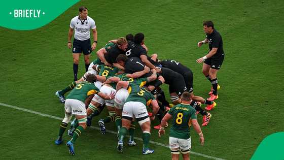 All Blacks assistant coach Neil Barnes slams referee after 43–28 loss to Springboks in Baltimore