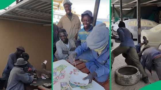 "They were already running": SA floored by gents screaming after pranked with snake by boss