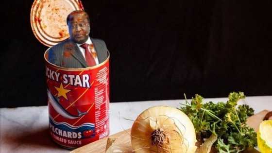 Tito Mboweni gets another good roasting after posting his chickens