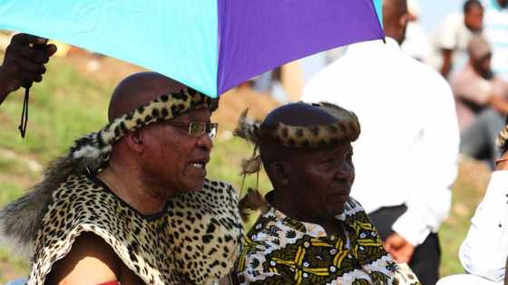 Jacob Zuma's younger brother Michael dies after long illness