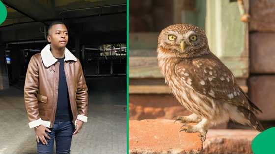 "Hogwarts wants you to join": Student says village people sent owl to check on him, SA cracks jokes