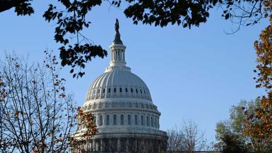 Republicans seize control of US House, Congress split: projections