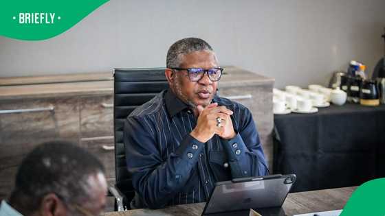 Fikile Mbalula weighs in on KZN Government of Provincial Unity