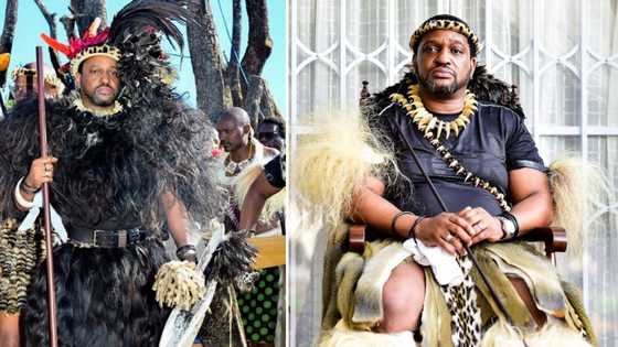 ANC slams animal rights activists for criticising King Misuzulu for killing a lion, following tradition