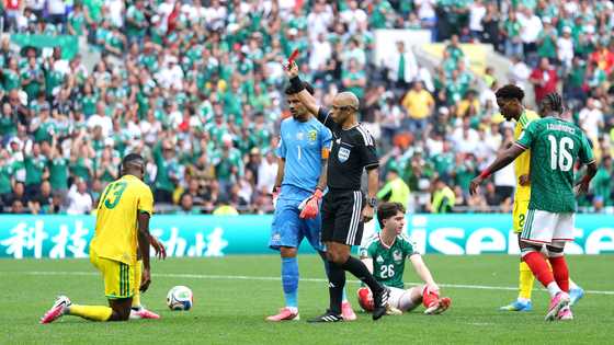 Ex-Bafana boss offers strong defence of Sithole and Broos amid SA fans outrage