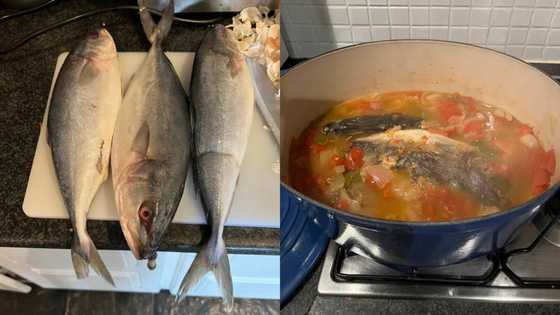 "Something fishy loading": Tito Mboweni takes Mzansi on a culinary journey