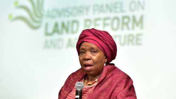 Calls for Dlamini-Zuma's arrest over violation of lockdown court order