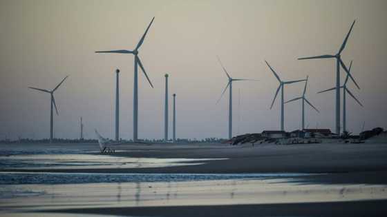 Latin America poised to become renewable energy giant: report
