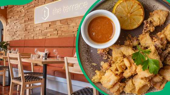 The Terrace @ D'Aria menu with updated 2025 prices and dishes