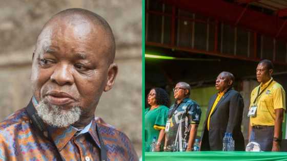 Gwede Mantashe defends cadre deployment, but South Africans attack it