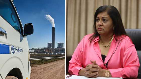 Eskom gives security head Karen Pillay suspended for probe into R500m contract to be conducted unhindered