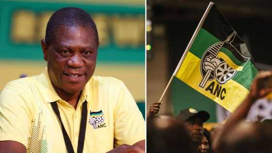 ANC deputy president Paul Mashatile and 3 other cadres to be sworn in as MPs, leaving SA annoyed