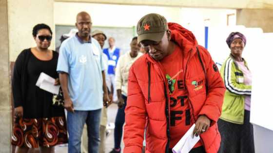 2024 General Elections: EFF Leader Julius Malema Calls Out IEC for Compromising Secrecy