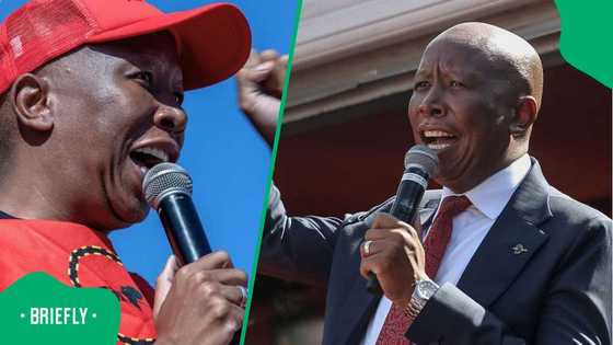 Julius Malema’s EFF reacts to TV show ZiMoja Daily's "misleading" commentary