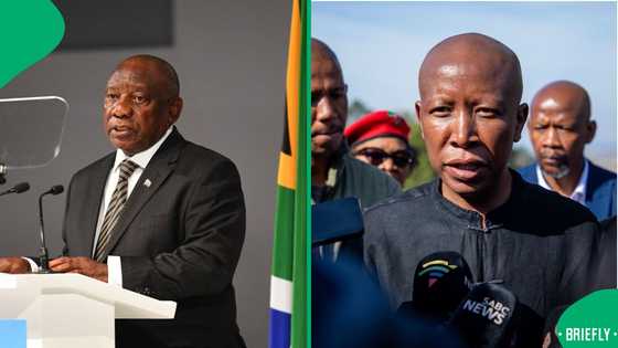 Julius Malema slams Cyril Ramaphosa's US trip as delegation departs for Washington