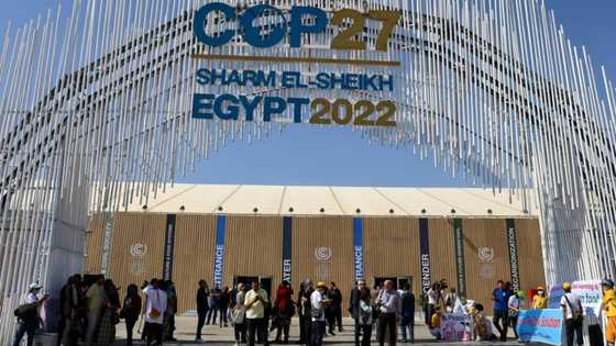 UN climate summit opens with warning against 'backsliding'