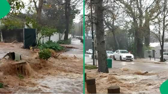 Cape Town weather: River bursts its banks into Newlands Avenue