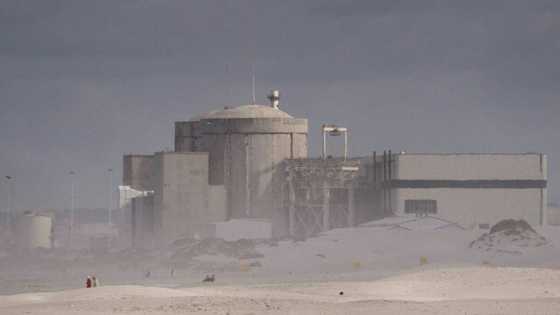South Africa to build new nuclear plants: govt