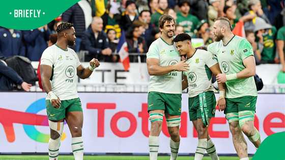 Springboks suffer fresh injury blow as another star is sidelined