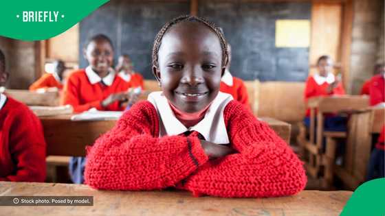 Meet the little academic star: A look at how early childhood development helps kids