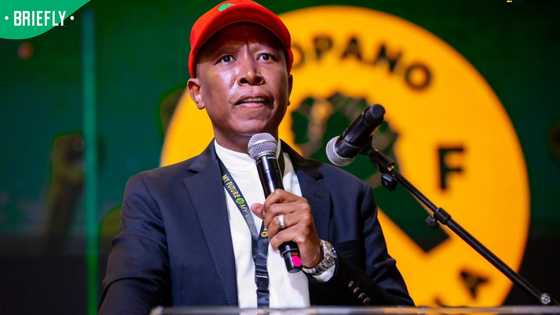 'No xenophobia in SA': Malema calls out March and March for causing division in Africa