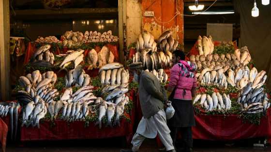 Pakistan imports threatened as forex reserves hit eight-year low