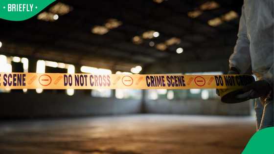 Western Cape gang violence leaves two people dead on Christmas Day, South Africans frustrated