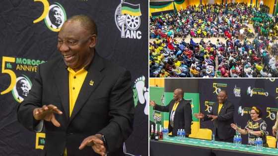 ANC bigwigs to meet over damaging Zondo Commission revelations