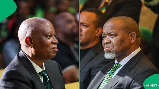 ActionSA gives Gwede Mantashe 60-day ultimatum, demands Lily Mine victims' remains be retrieved