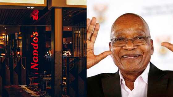 Nando's upsets many Jacob Zuma stans with spicy ad: "Don't test us"