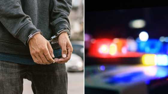 623 Wanted suspects nabbed in Cape Town for various charges, several weapons and drugs seized by police