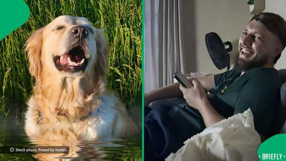 "That won't happen": Prankster son's invitation to dog's baptism stresses parents