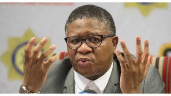 Fikile Mbalula asks Chiefs fans to relax, Mzansi reacts hilariously